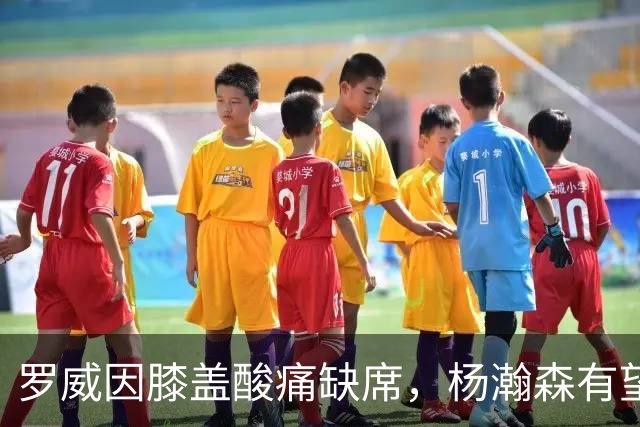 罗威因膝盖酸痛缺席，杨瀚森有望首次出场
